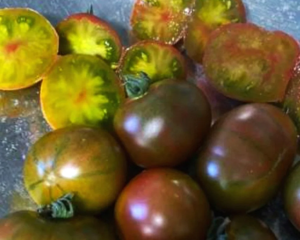 2025 Varieties — Chicago Tomato Man
